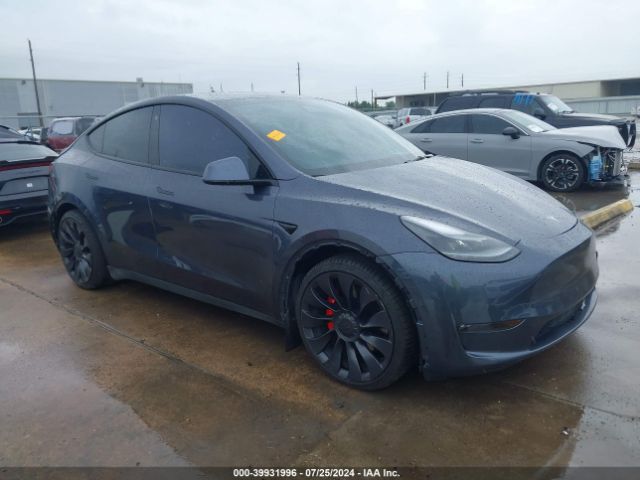 TESLA MODEL Y 2022 7saygdef5nf324401