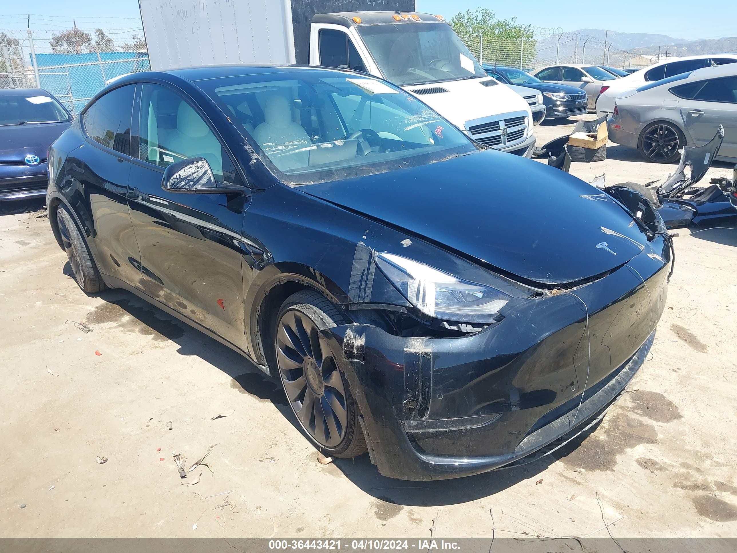 TESLA MODEL Y 2022 7saygdef5nf346379