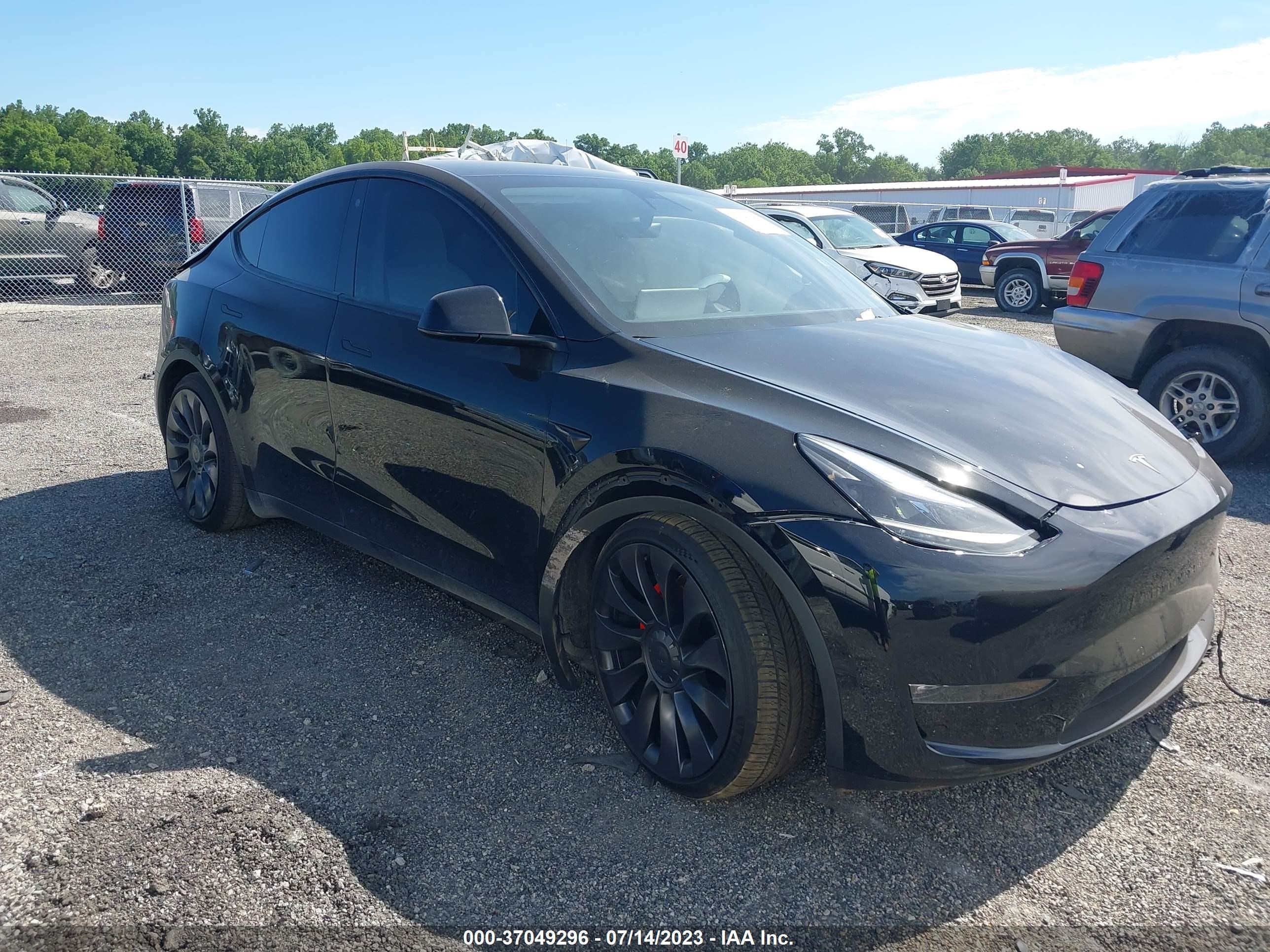 TESLA MODEL Y 2022 7saygdef5nf381181