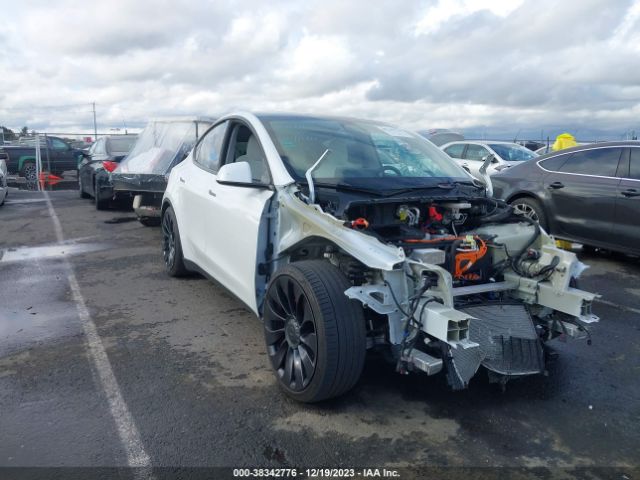 TESLA MODEL Y 2022 7saygdef5nf407021