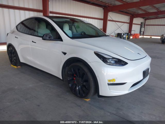 TESLA MODEL Y 2022 7saygdef5nf410193