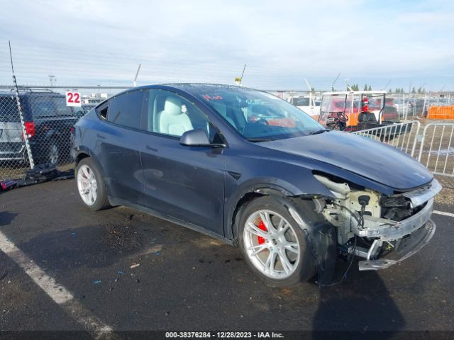 TESLA MODEL Y 2022 7saygdef5nf441864