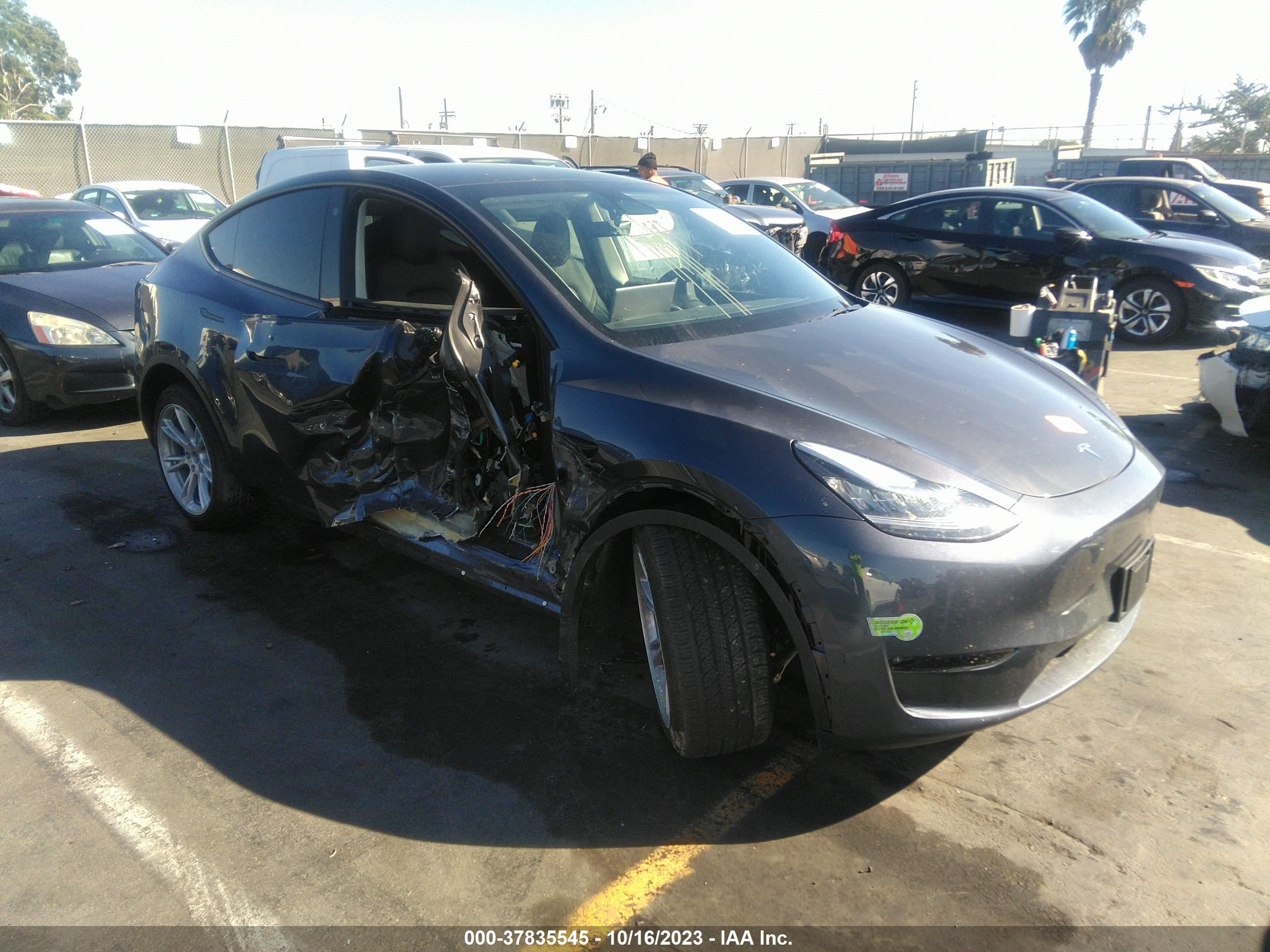 TESLA MODEL Y 2023 7saygdef5pa049628