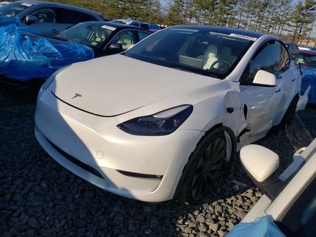 TESLA MODEL Y 2023 7saygdef5pf590374