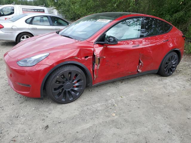 TESLA MODEL Y 2023 7saygdef5pf661900