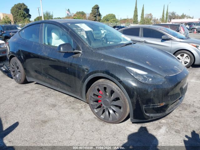 TESLA MODEL Y 2023 7saygdef5pf663940