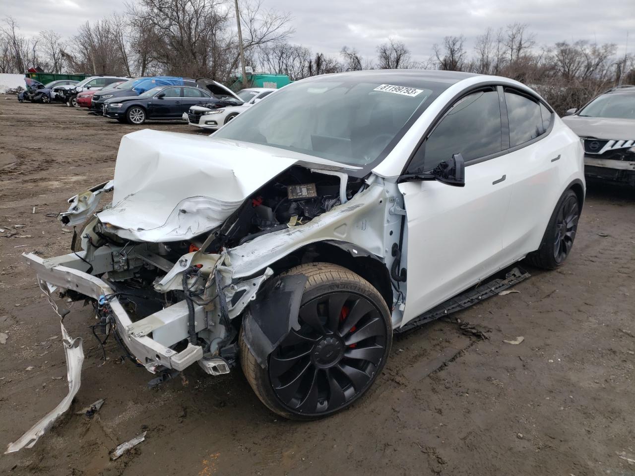 TESLA MODEL Y 2023 7saygdef5pf701151