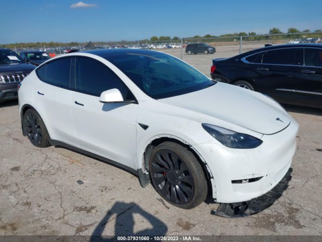 TESLA MODEL Y 2023 7saygdef5pf701800