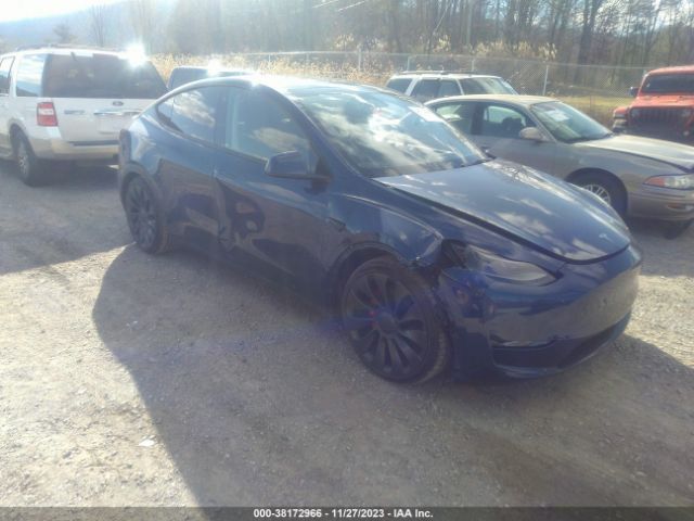 TESLA MODEL Y 2023 7saygdef5pf709895