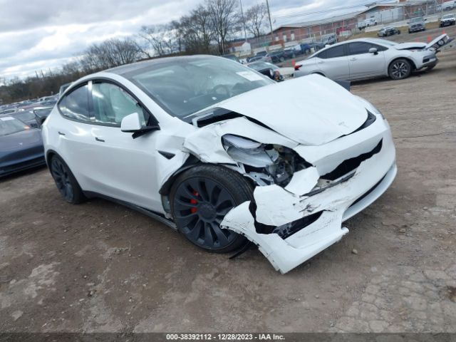 TESLA MODEL Y 2023 7saygdef5pf779865