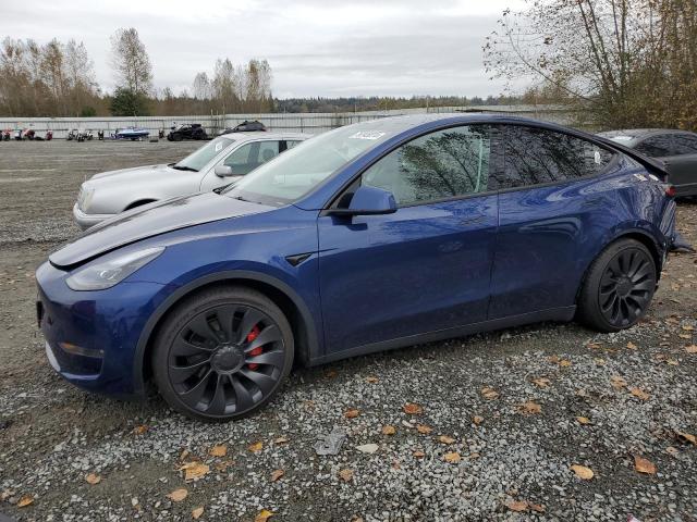 TESLA MODEL Y 2023 7saygdef5pf811651