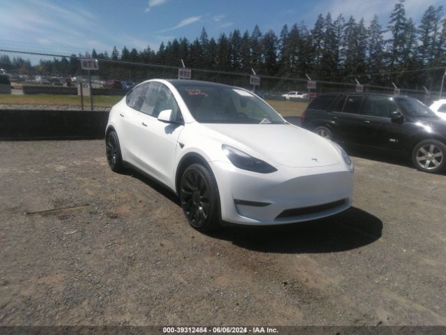 TESLA MODEL Y 2023 7saygdef5pf813643