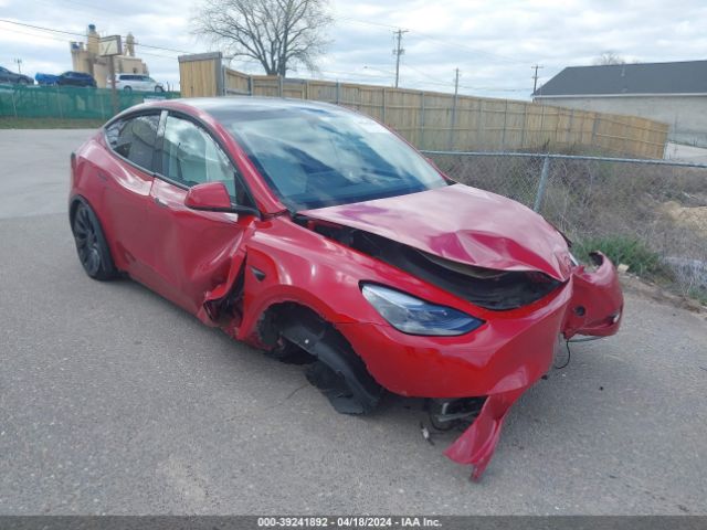 TESLA MODEL Y 2023 7saygdef5pf853933