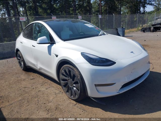 TESLA MODEL Y 2023 7saygdef5pf904749