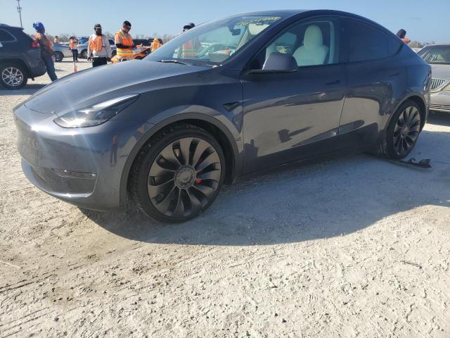 TESLA MODEL Y 2023 7saygdef5pf915038