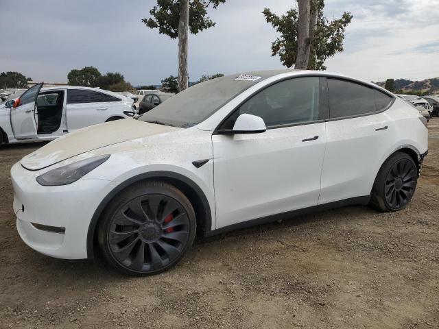 TESLA MODEL Y 2023 7saygdef5pf963588