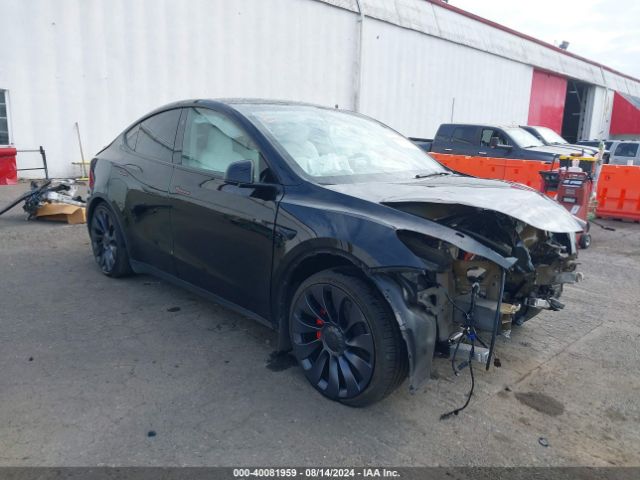 TESLA MODEL Y 2024 7saygdef5rf050283