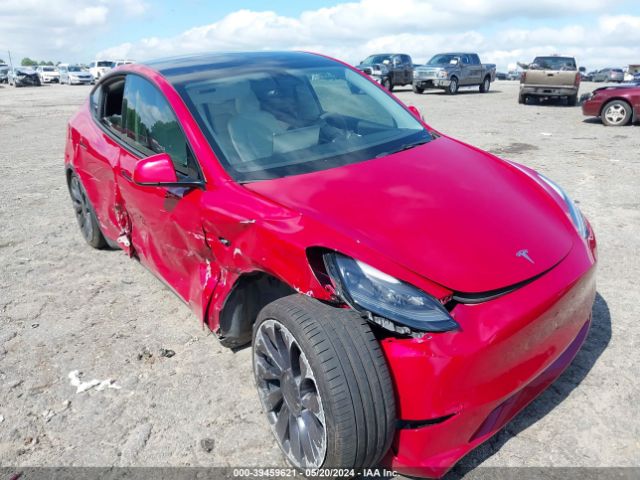 TESLA MODEL Y 2022 7saygdef6nf316937