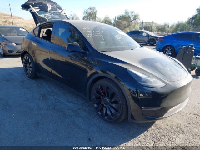 TESLA MODEL Y 2021 7saygdef6nf342440