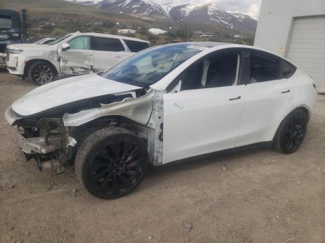 TESLA MODEL Y 2022 7saygdef6nf343071