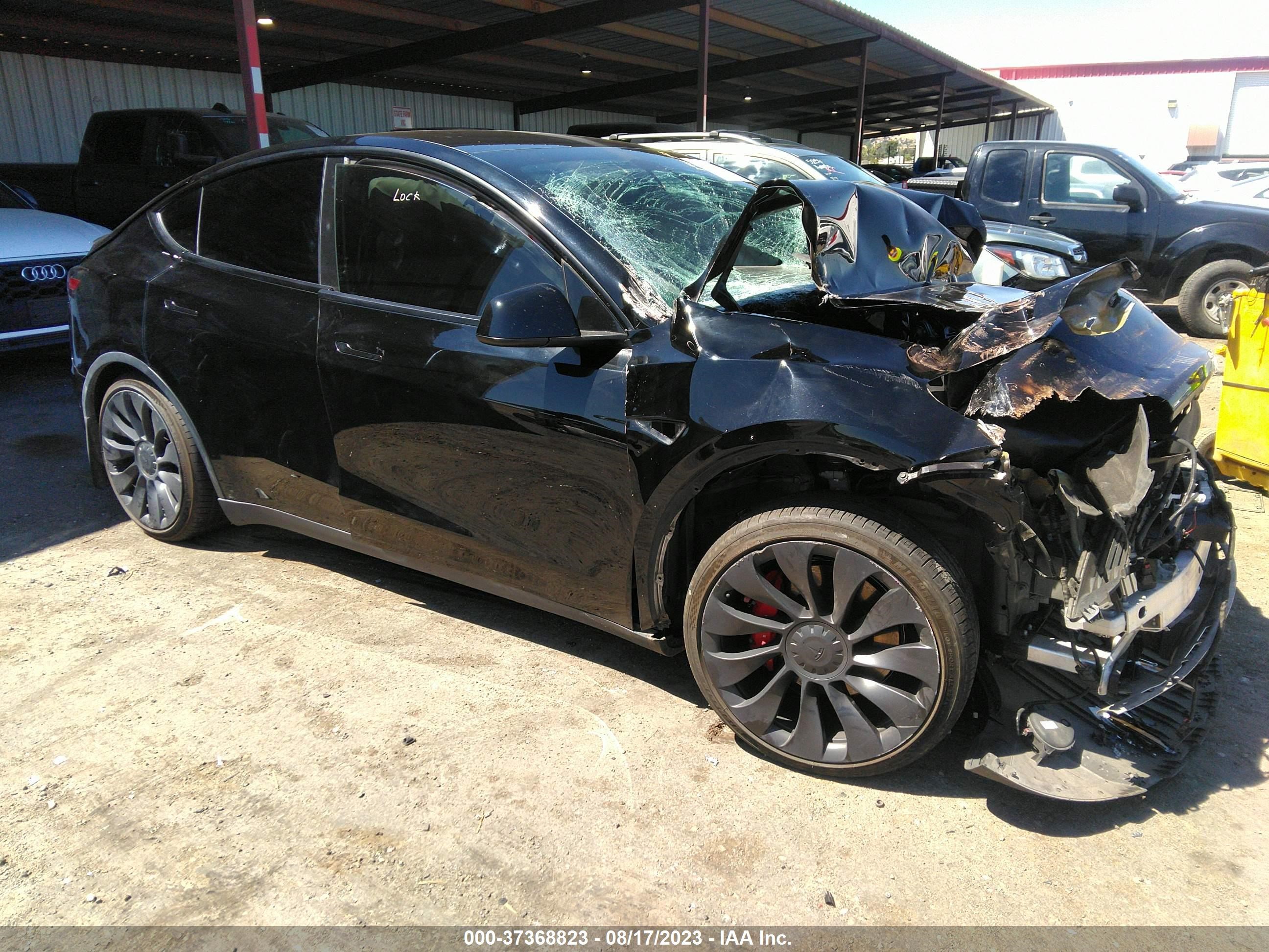 TESLA MODEL Y 2022 7saygdef6nf343118