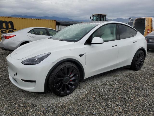 TESLA MODEL Y 2022 7saygdef6nf392741