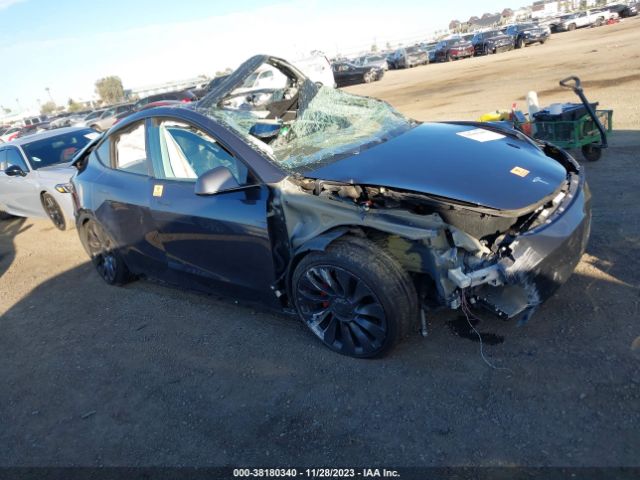 TESLA MODEL Y 2022 7saygdef6nf408453