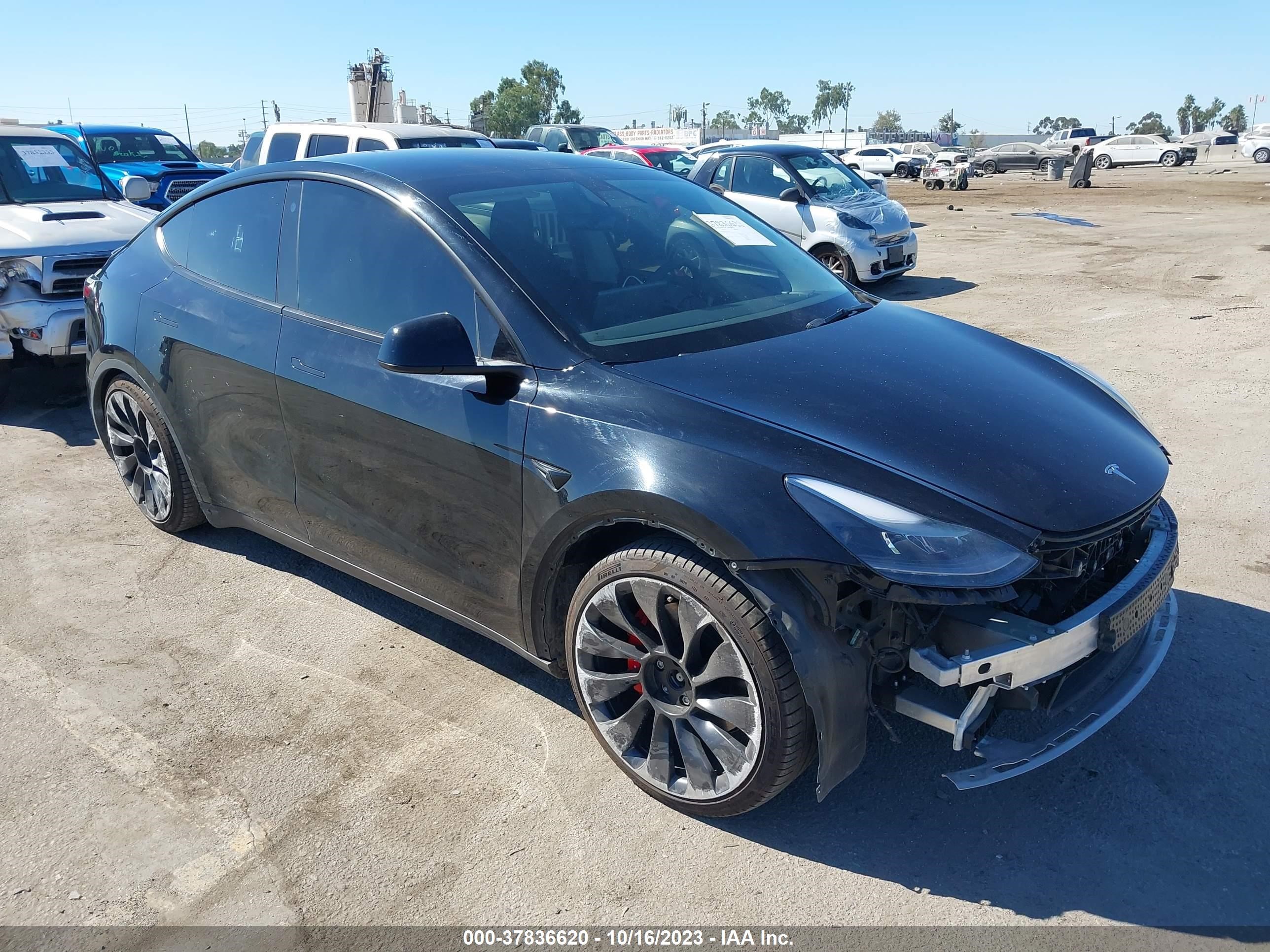 TESLA MODEL Y 2022 7saygdef6nf447446