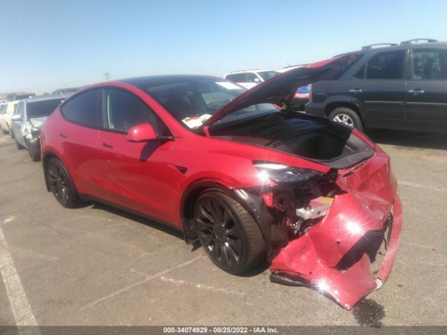 TESLA MODEL Y 2022 7saygdef6nf452551