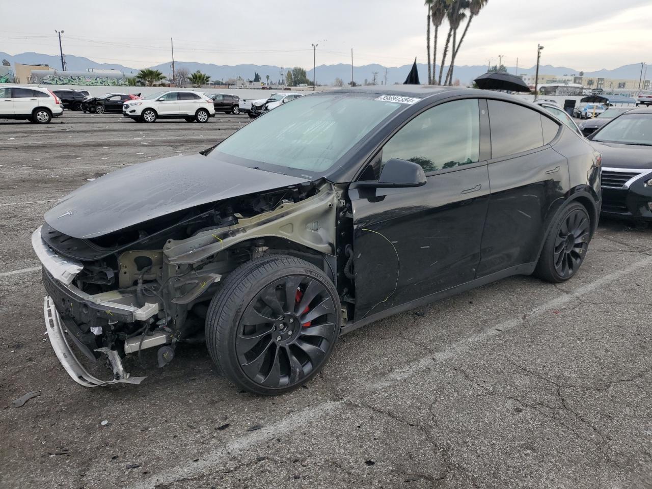 TESLA MODEL Y 2022 7saygdef6nf534750