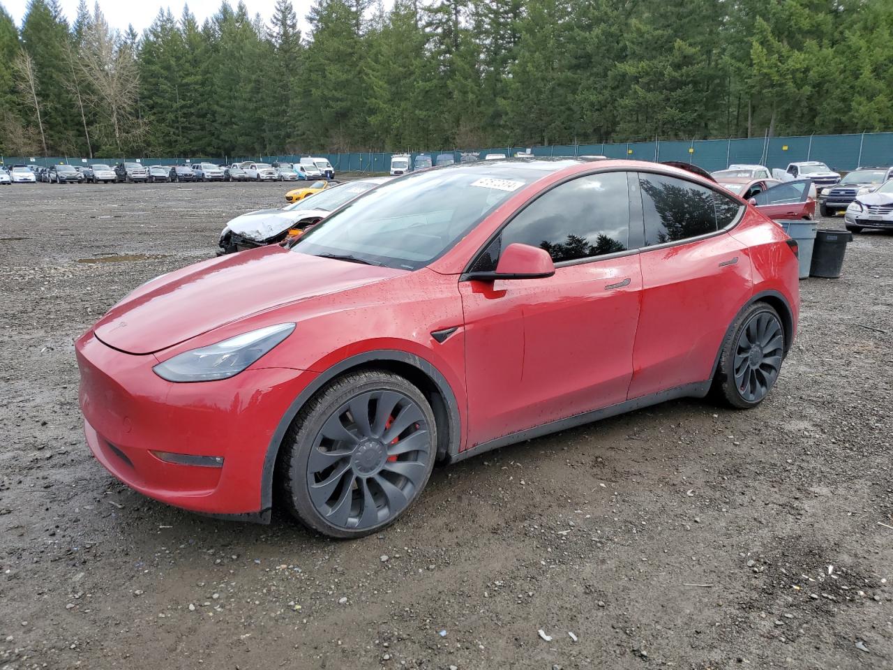 TESLA MODEL Y 2022 7saygdef6nf542413