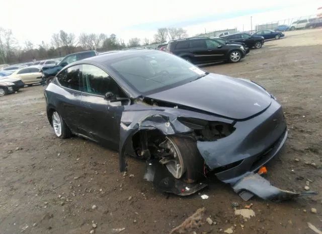 TESLA MODEL Y 2023 7saygdef6pa048813