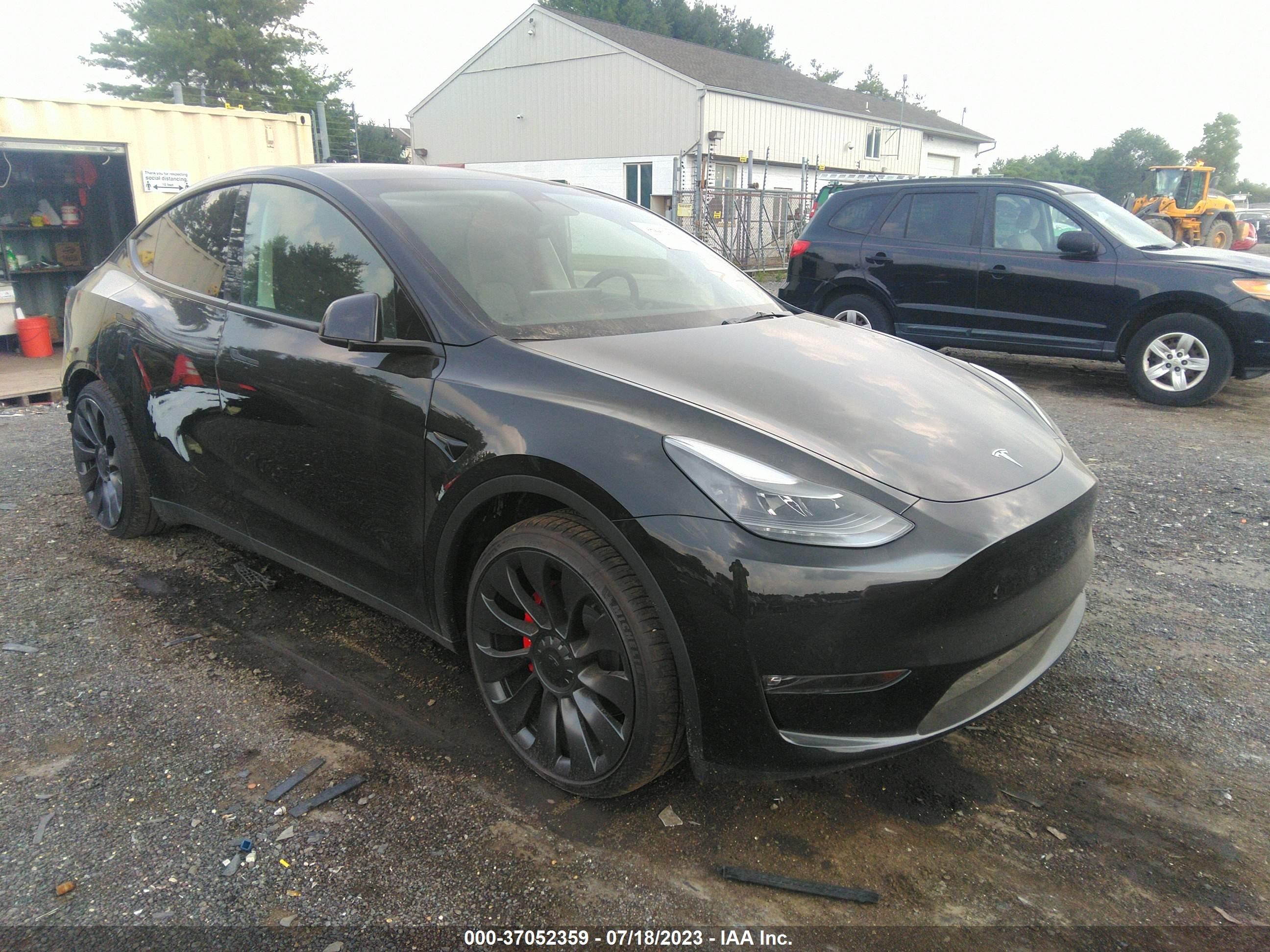 TESLA MODEL Y 2023 7saygdef6pf747376