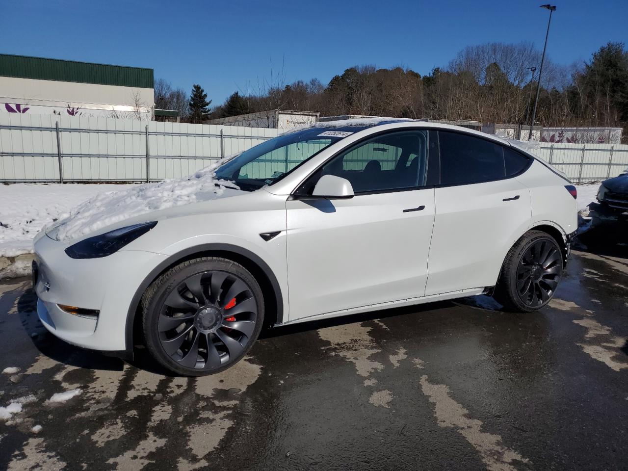 TESLA MODEL Y 2023 7saygdef6pf833111