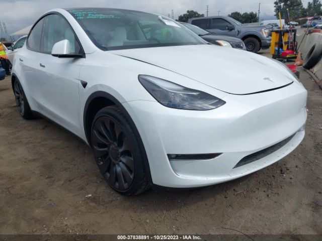 TESLA MODEL Y 2023 7saygdef6pf834128