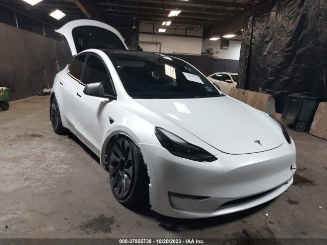 TESLA MODEL Y 2023 7saygdef6pf861300