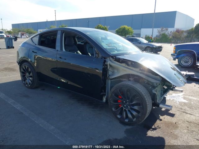 TESLA MODEL Y 2023 7saygdef6pf863399