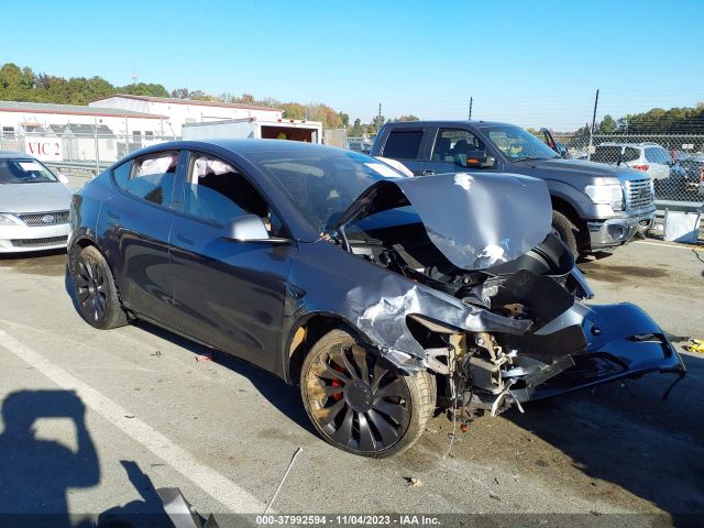 TESLA MODEL Y 2023 7saygdef6pf870532