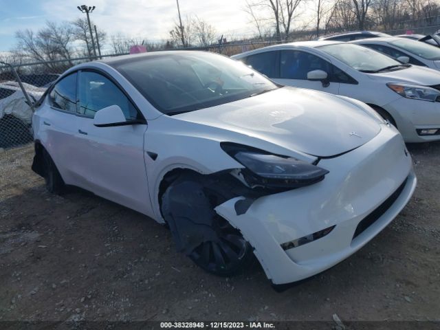 TESLA MODEL Y 2023 7saygdef6pf903884