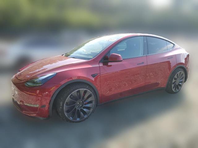 TESLA MODEL Y 2024 7saygdef6ra264549