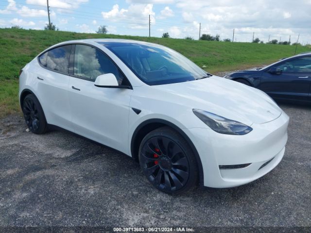 TESLA MODEL Y 2024 7saygdef6ra280721