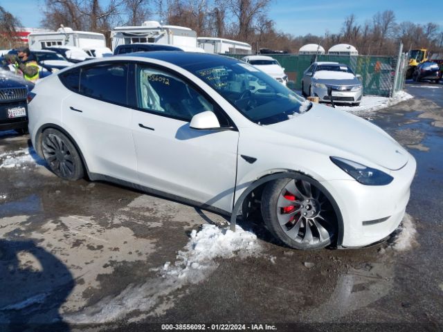 TESLA MODEL Y 2022 7saygdef7nf308409