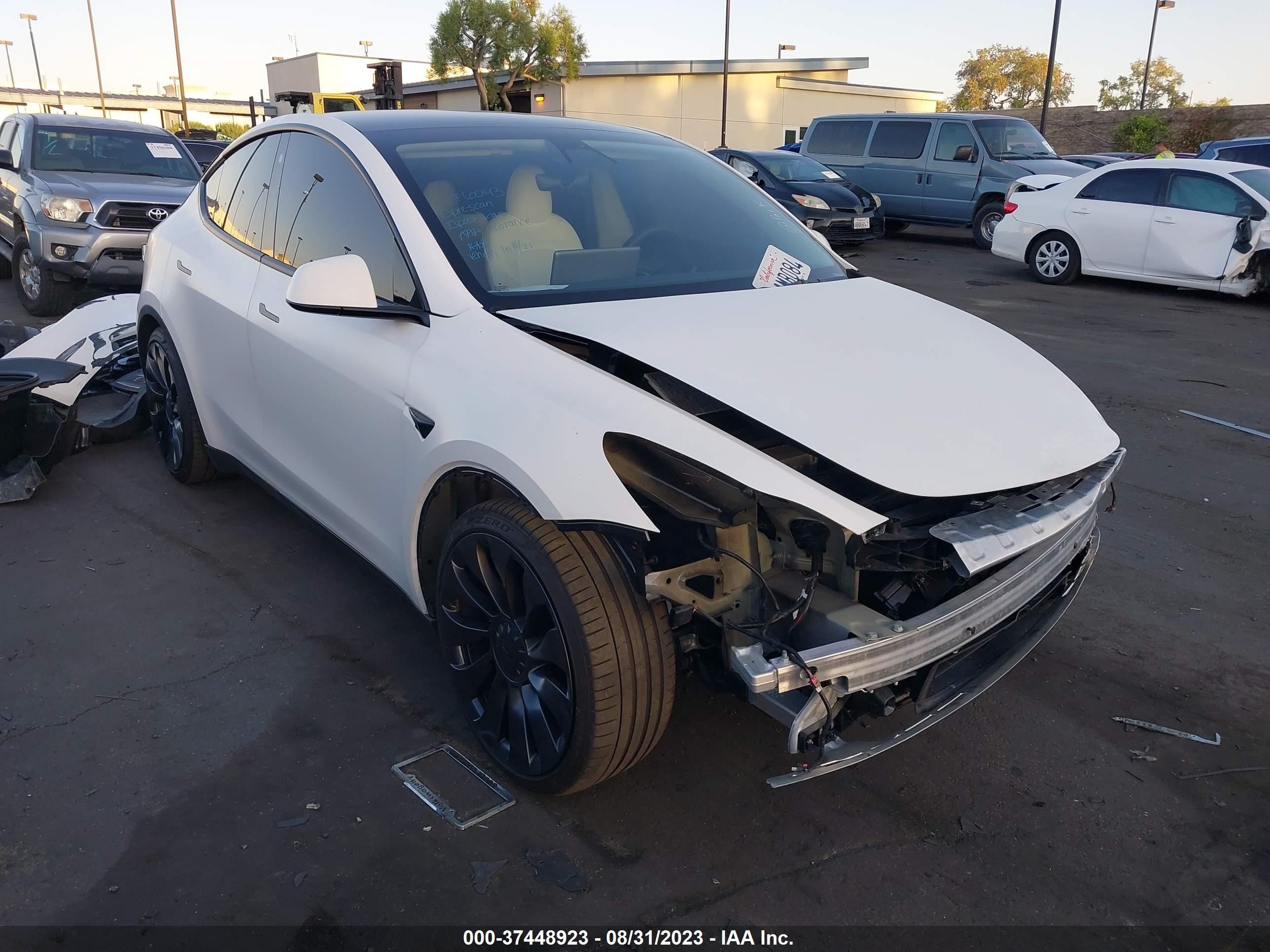 TESLA MODEL Y 2022 7saygdef7nf394580