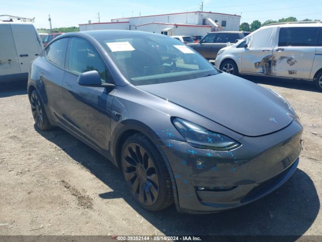 TESLA MODEL Y 2023 7saygdef7pf801042