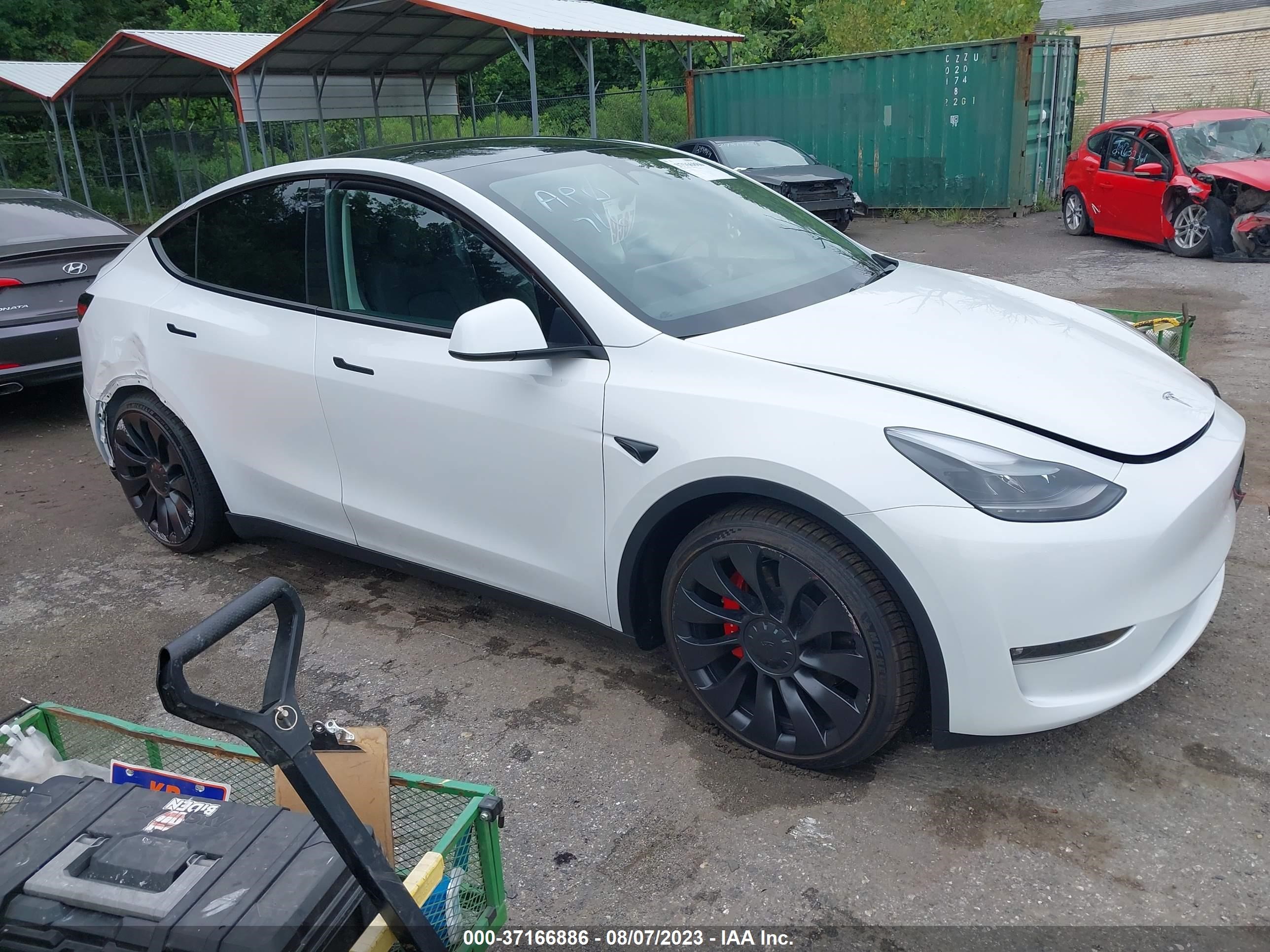 TESLA MODEL Y 2023 7saygdef7pf804037