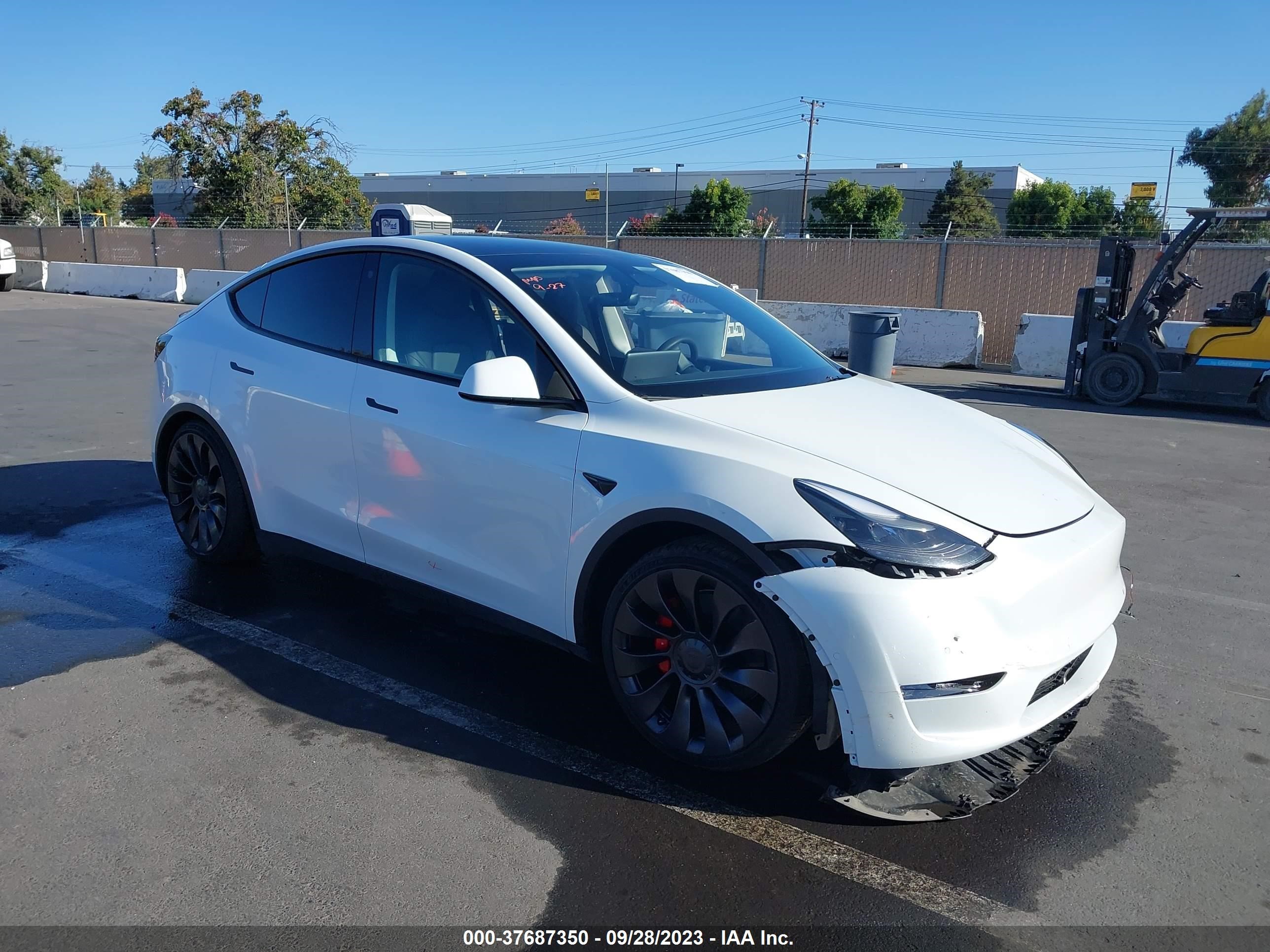 TESLA MODEL Y 2022 7saygdef8nf404887