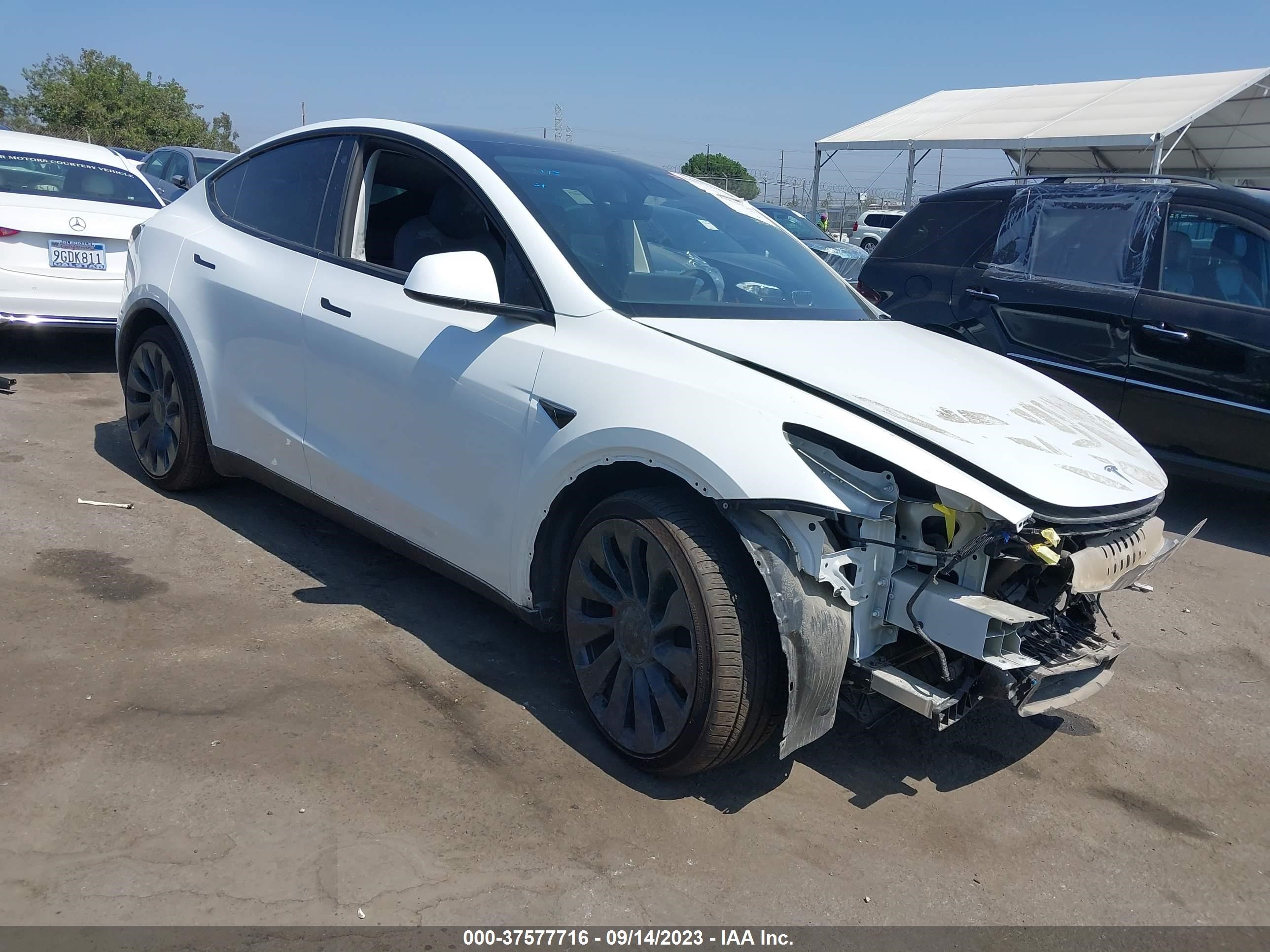 TESLA MODEL Y 2022 7saygdef8nf543157