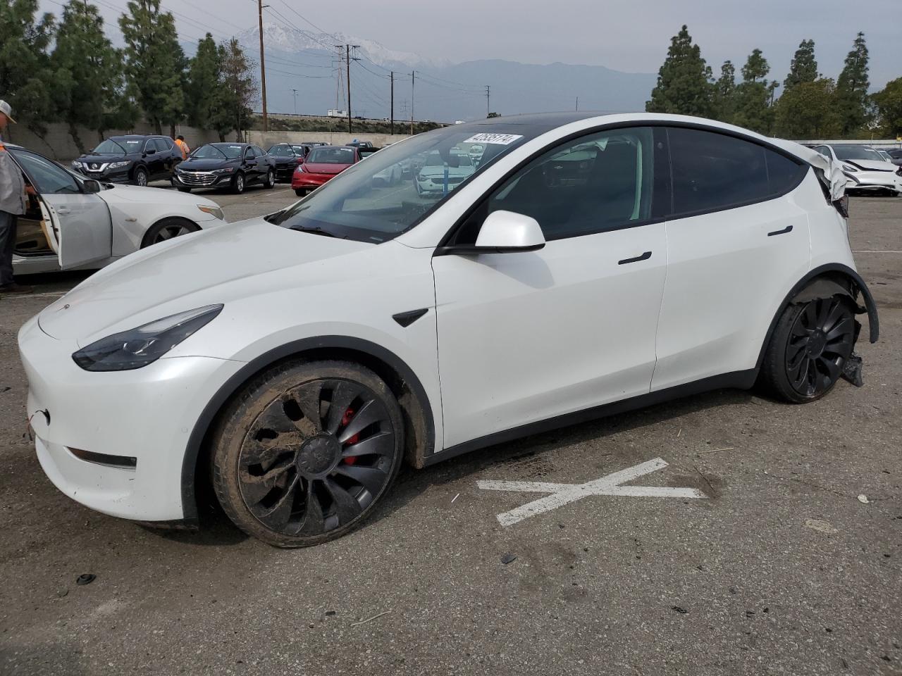 TESLA MODEL Y 2022 7saygdef8nf549556