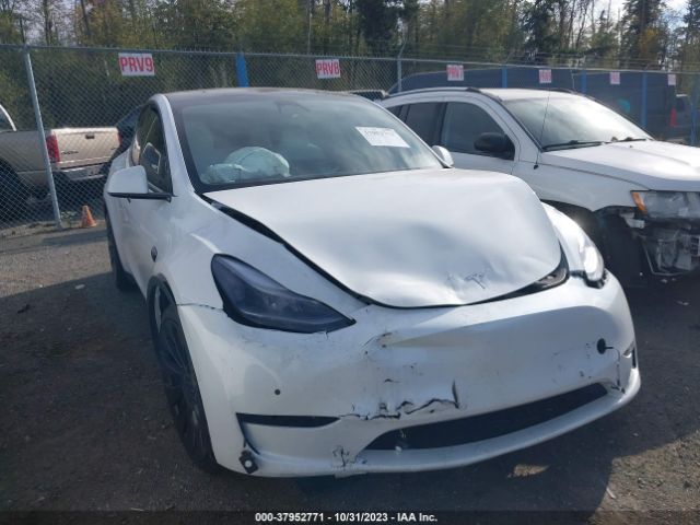 TESLA MODEL Y 2023 7saygdef8pf588263