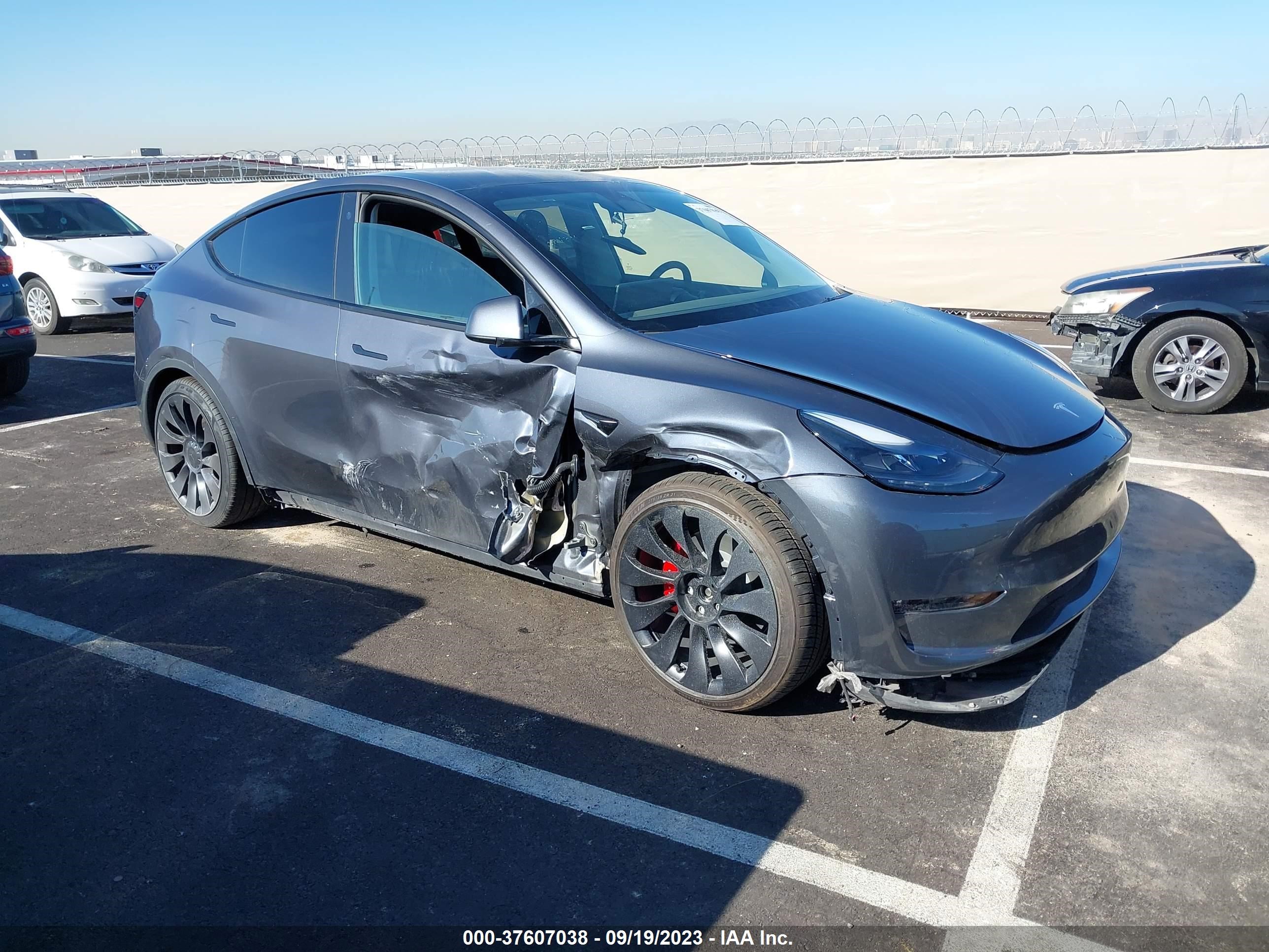 TESLA MODEL Y 2023 7saygdef8pf602002